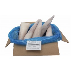Fener Balığı Kuyruk (5 kg)